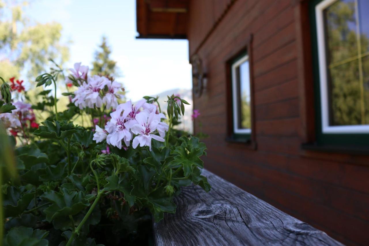 Ferienhaus Am Muehlbach Gams bei Hieflau Екстериор снимка